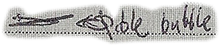 able bubble